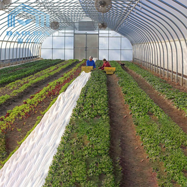Polytunnel Zinc Steel Frame Greenhouse PE Membranes Covering