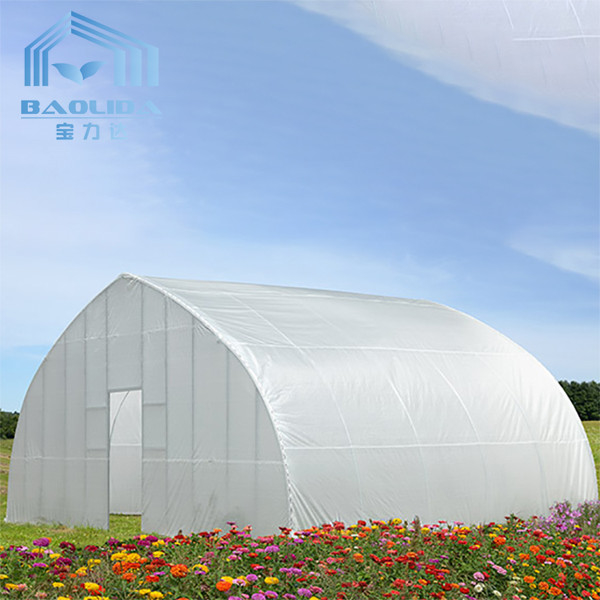 Polytunnel Garden Plastic Greenhouse For Agriculture Aquaponic Growing