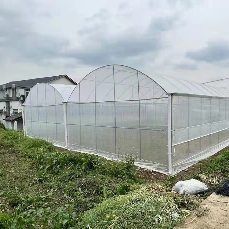 High Tunnel Multi Span Greenhouse Plastic PE Film For Strawberry