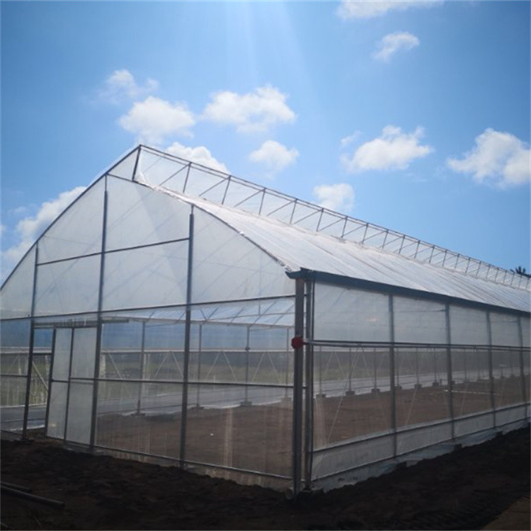 Tropical Ventilation System Sawtooth Single Span Greenhouse For Vegetables Growing