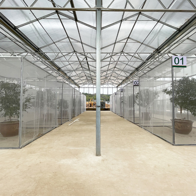 Multi Span Hyroponic Galvanized Float Venlo Greenhouse Glass Agricultural Kits