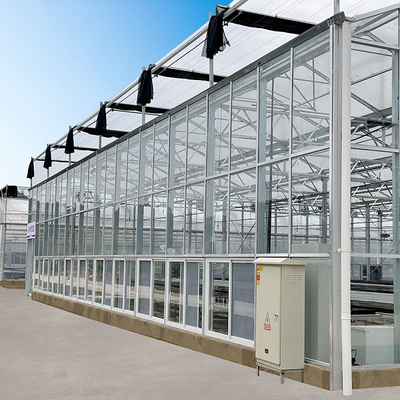 Multi Span Hyroponic Galvanized Float Venlo Greenhouse Glass Agricultural Kits