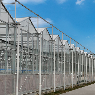 Multi Span Hyroponic Galvanized Float Venlo Greenhouse Glass Agricultural Kits