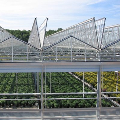 Agricultural Tempered Glass Venlo Type Greenhouse With 48mm Column