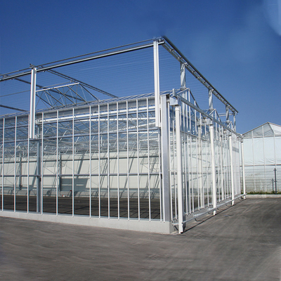 Automated Plant Hydroponics Glass Wall Greenhouse For Tomato Strawberry