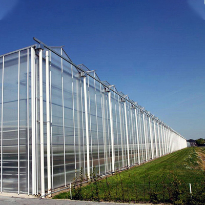 Automated Plant Hydroponics Glass Wall Greenhouse For Tomato Strawberry