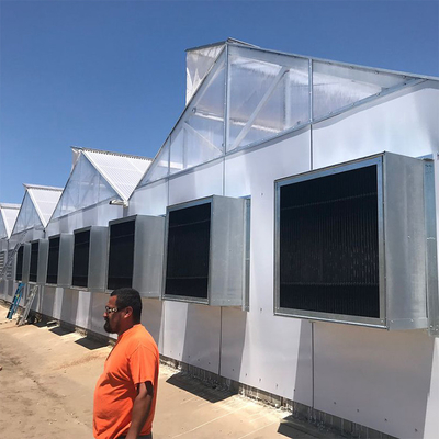 Automatic Blackout Fabric Control Light Dep Greenhouse Fully Automated