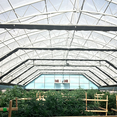 Polycarbonate Single Span Light Dep Greenhouse With Rolling Blackout