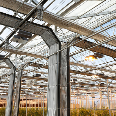 Led Grow Lighting Tunnel Auto Light Dep Greenhouse Multi Span For Hemps Growing