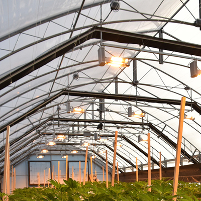 Light Deprivation System Blackout Greenhouse Single Span For Herb