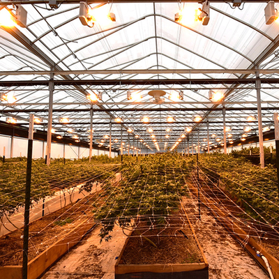 Polytunnel Blackout Light Deprivation Greenhouse Automated For Herbs Growing