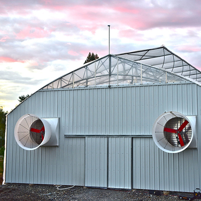 Agriculture Blackout Light Deprivation Greenhouse Fully Automated