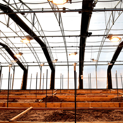 Agriculture Blackout Light Deprivation Greenhouse Fully Automated