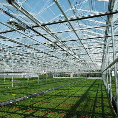 Agriculture Plants Growing Multi Span Venlo Glass Greenhouse With Cooling Pad