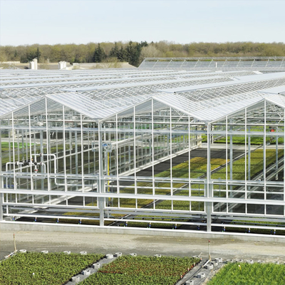 Galvanized Steel Frame Multi Span Venlo Glass Greenhouse Large Automatic