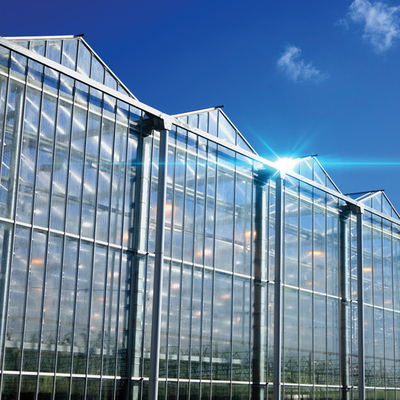 Hydroponic Growing System Venlo Glass Greenhouse Galvanized Steel Frame