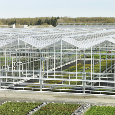 Hydroponic Growing System Venlo Glass Greenhouse Galvanized Steel Frame