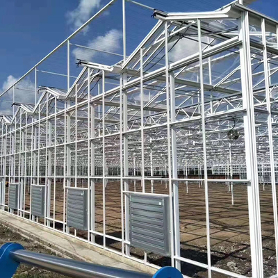 Multi Span Steel Structure Venlo Glass Greenhouse Fiberglass Covering 1000m2