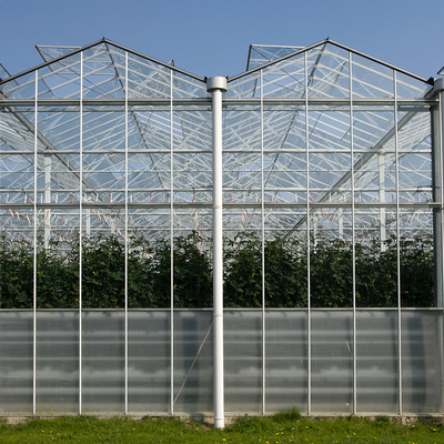 Multi Span Steel Structure Venlo Glass Greenhouse Fiberglass Covering 1000m2