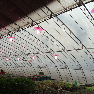 Agricultural Cold Area Passive Solar Greenhouse Traditional