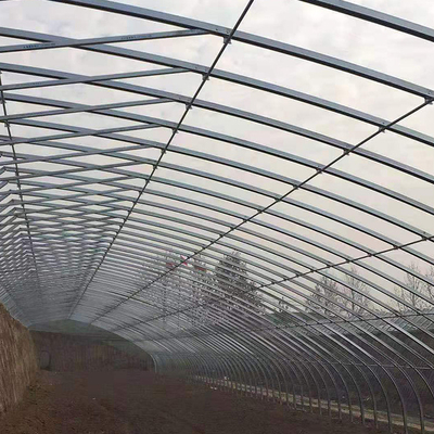 Hydroponic Nursery Complete System Film Passive Solar Greenhouse For Tomato