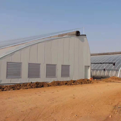 Single Span Tunnel Solar Greenhouses With Double Wall And Insulating Blanket