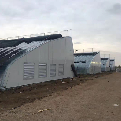 Single Span Tunnel Solar Greenhouses With Double Wall And Insulating Blanket