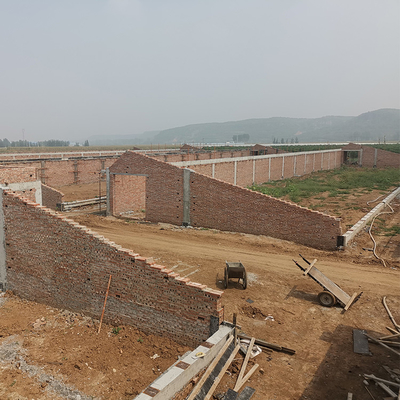 Single Span Tunnel Solar Greenhouses With Double Wall And Insulating Blanket