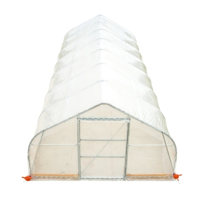 Round Arch Plastic Film Single Span Greenhouse 9x30m For Vegetables