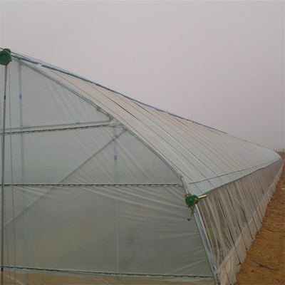 Plastic Film Tunnel Single Span Greenhouse Heat Preservation For Winter Tomato