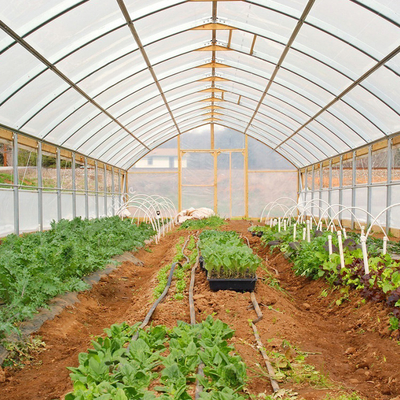 Galvanized Steel Frame Single Span Greenhouse Plastic Film Covering 8*30m