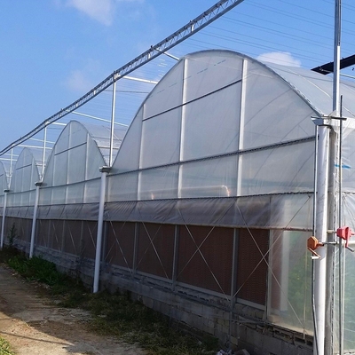 Polyethylene Film Multi Span Greenhouse Agricultural Commercial Industrial