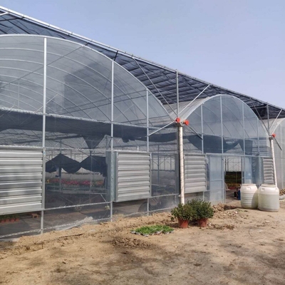 Large Agroculture Plastic Film Coverd Transparent 200 Micron Multi Span Greenhouse