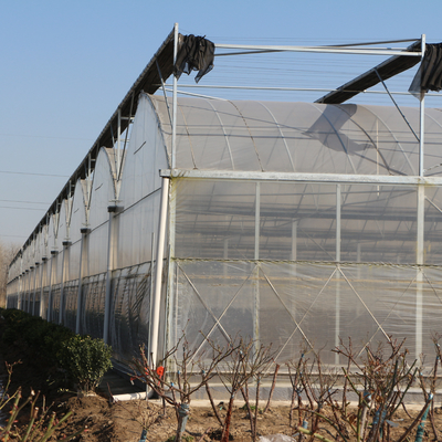 Hot Dip Galvanized Steel Wind Resistance Sides Ventilation Multi Span Greenhouse