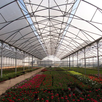 Galvanized Steel Pipe Plastic Film Greenhouse Agricultural Multi Span