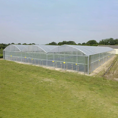 Galvanized Steel Pipe Plastic Film Greenhouse Agricultural Multi Span