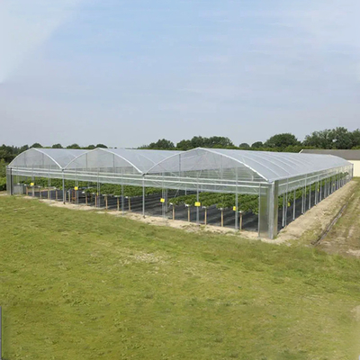 Galvanized Steel Pipe Plastic Film Greenhouse Agricultural Multi Span