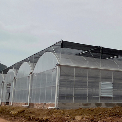 Agriculture Plastic Film Tunnel Greenhouse High Tunnel Multi Span