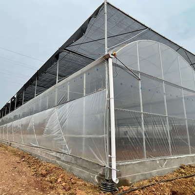 Galvanized Steel Pipe Arch Roof Type Plastic Film Greenhouse With Hydroponics System