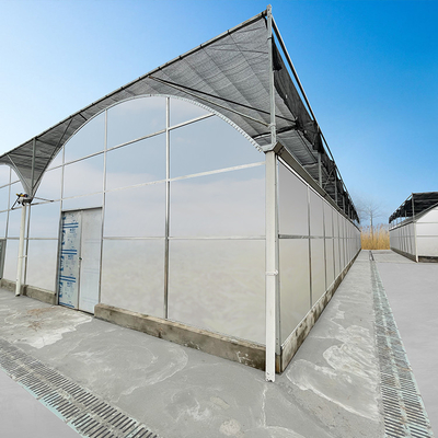 Climate Controller Polycarbonate Multi Span Greenhouse for Vegetable Production