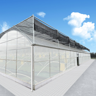 Climate Controller Polycarbonate Multi Span Greenhouse for Vegetable Production