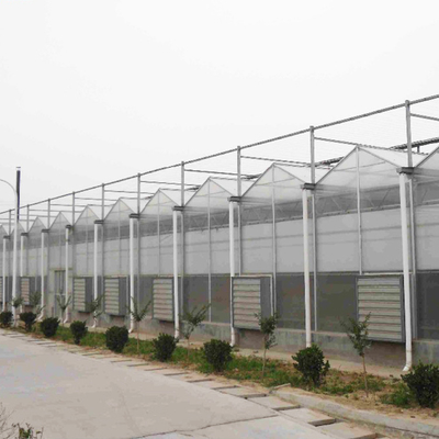 Climate Controller Polycarbonate Multi Span Greenhouse for Vegetable Production