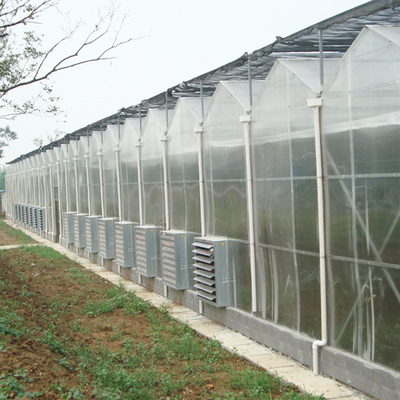 Agriculture Film Clear Polycarbonate Greenhouse Transparent Square Steel Frame Coating