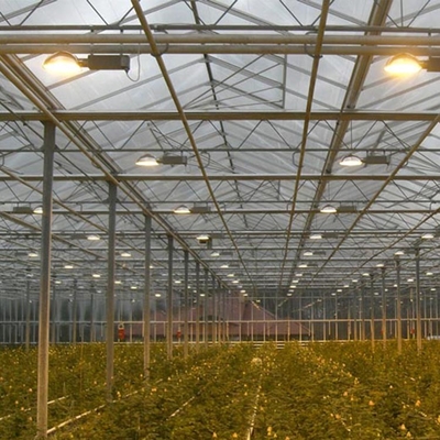 Agriculture Hydroponic System Polycarbonate Sheet Greenhouse Multi Span 30 X 100