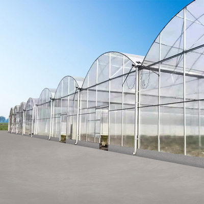 Agriculture Hydroponic System Polycarbonate Film Multi Span Greenhouse 30 X 100