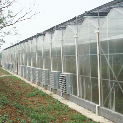 Agricultural Flowers Shading Multi Span Hot Dipped Galvanized Polycarbonate Greenhouse