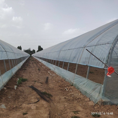 Agriculture Farming Growing Tunnel Plastic Film Greenhouse For Pepper Growing