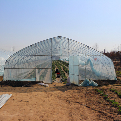 Agriculture Farming Growing Tunnel Plastic Film Greenhouse For Pepper Growing