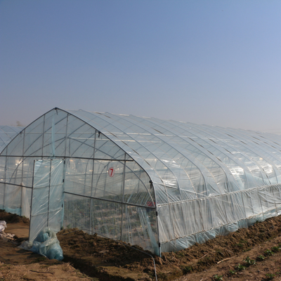 Agriculture Farming Growing Tunnel Plastic Film Greenhouse For Pepper Growing