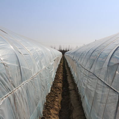 Arch Outdoor Chinese Tunnel Plastic Greenhouse Transparent For Cultivation